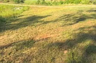 6327 Jefferson Rd, Commerce, GA 30529 - Photo 3