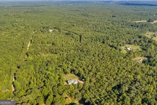 1466 Zellner Rd, Forsyth, GA 31029 - Photo 31