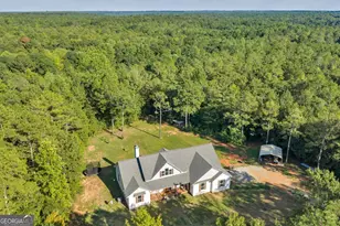 1466 Zellner Rd, Forsyth, GA 31029 - Photo 39