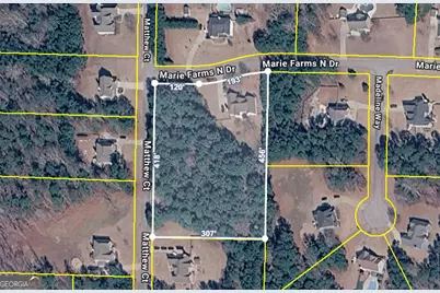 148 Marie Farms North Drive, Palmetto, GA 30268 - Photo 61