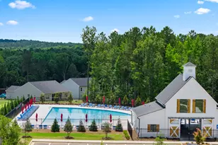1031 Amerson Ct, Buckhead, GA 30625 - Photo 53