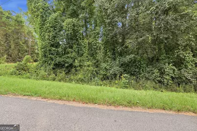 850 Fernside Drive, Toccoa, GA 30577 - Photo 11