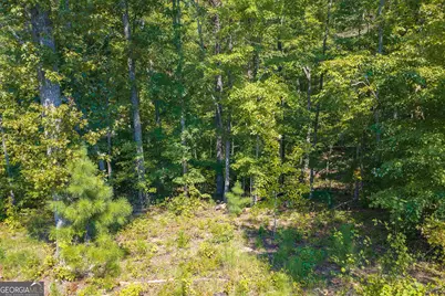 Lot 31 Freestone Street, Talking Rock, GA 30175 - Photo 7