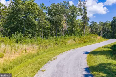 Lot 31 Freestone Street, Talking Rock, GA 30175 - Photo 11