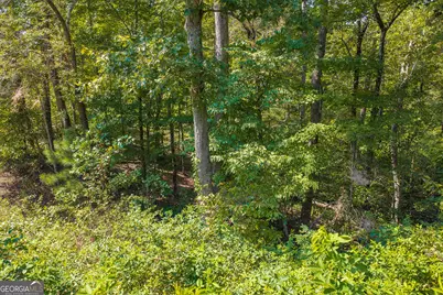 Lot 31 Freestone Street, Talking Rock, GA 30175 - Photo 3