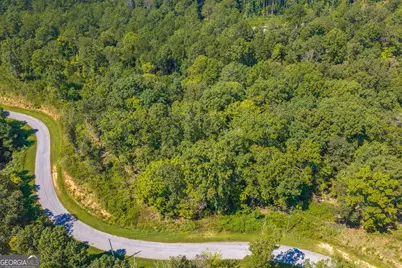 Lot 31 Freestone Street, Talking Rock, GA 30175 - Photo 9
