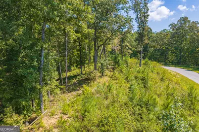 Lot 31 Freestone Street, Talking Rock, GA 30175 - Photo 13