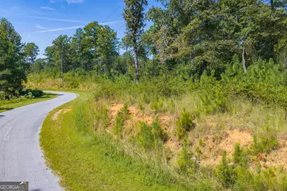 Lot 31 Freestone Street, Talking Rock, GA 30175 - Photo 5