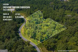 Lot 31 Freestone St, Talking Rock, GA 30175 - Photo 1
