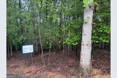 204 Hart Court, Ellijay, GA 30540 - Photo 3