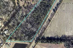 0 Ben Grady Collins Rd, Portal, GA 30450 - Photo 1