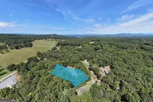 90 Paul Nicholson Rd, Blairsville, GA 30512 - Photo 63