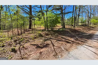 0 Emerson Road, Greenville, GA 30222 - Photo 5