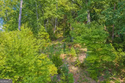 104 Hopewell Drive, Ranger, GA 30734 - Photo 3