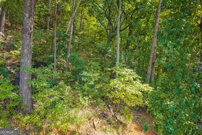 104 Hopewell Drive, Ranger, GA 30734 - Photo 13