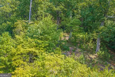 104 Hopewell Drive, Ranger, GA 30734 - Photo 9
