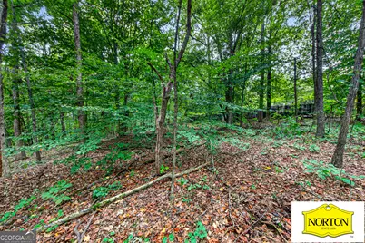 5368 Old Winder Highway, Braselton, GA 30517 - Photo 25