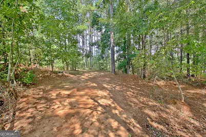 40 Tattersall Way, Senoia, GA 30276 - Photo 77