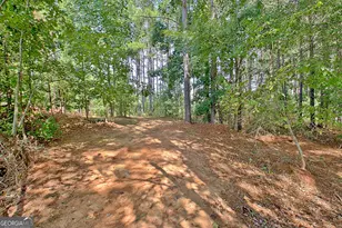 40 Tattersall Wy, Senoia, GA 30276 - Photo 77