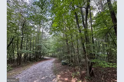 368 Harkins Road, Cleveland, GA 30528 - Photo 3