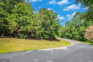 Lot 104 Mountain Creek Hollow Dr, Talking Rock, GA 30175 - Photo 1
