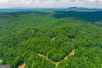 4.7Ac Mountain Creek Hollow Drive, Talking Rock, GA 30175 - Photo 5
