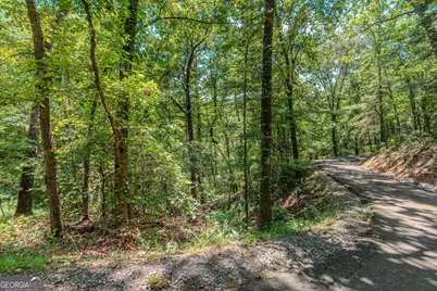 4.7Ac Mountain Creek Hollow Drive, Talking Rock, GA 30175 - Photo 11