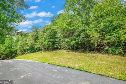 4.7Ac Mountain Creek Hollow Drive, Talking Rock, GA 30175 - Photo 13
