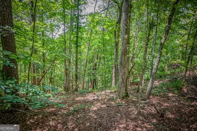 4.7Ac Mountain Creek Hollow Drive, Talking Rock, GA 30175 - Photo 9