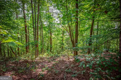 4.7Ac Mountain Creek Hollow Drive, Talking Rock, GA 30175 - Photo 7