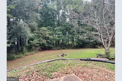 245 Sturgess Run, Sharpsburg, GA 30277 - Photo 31