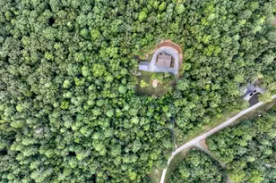 185 Pine Ln, Mineral Bluff, GA 30559 - Photo 53