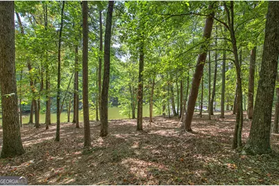 1218 Hightower Road, Cedartown, GA 30125 - Photo 9