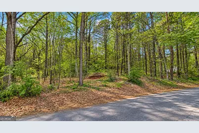 0 Pearidge Road, Canton, GA 30114 - Photo 5