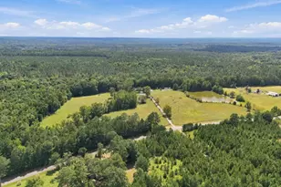 1580 Bramlett Rd, Greensboro, GA 30642 - Photo 35