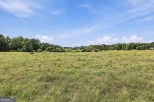 1580 Bramlett Rd, Greensboro, GA 30642 - Photo 31