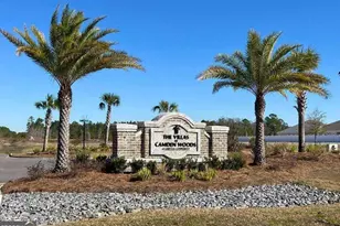 118 The Villas Wy, Kingsland, GA 31548 - Photo 25