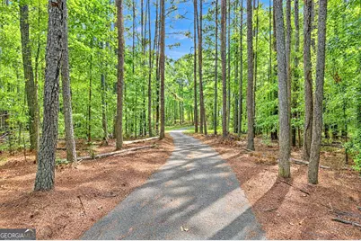 415 W McIntosh Road, Brooks, GA 30205 - Photo 3