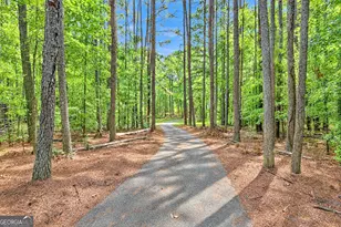 415 W McIntosh Rd, Brooks, GA 30205 - Photo 3