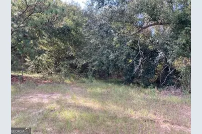 6965 Jim Pruett Road, Eastman, GA 31023 - Photo 3