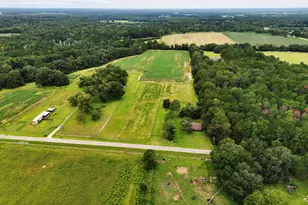 677 Palmer Rd, Pelham, GA 31779 - Photo 35