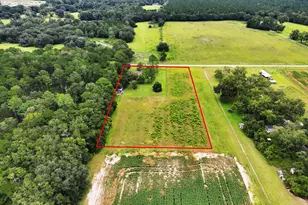 677 Palmer Rd, Pelham, GA 31779 - Photo 37