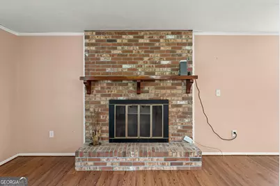 677 Palmer Road, Pelham, GA 31779 - Photo 5
