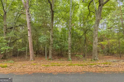 0 Willis Road, Lavonia, GA 30553 - Photo 9
