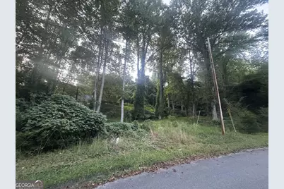 Lot 53 Circle Drive, Morganton, GA 30560 - Photo 13