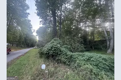 Lot 53 Circle Drive, Morganton, GA 30560 - Photo 3