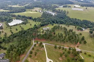 211 Cool Water Rd, Vienna, GA 31092 - Photo 63