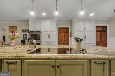 372 Johnstonville Road, Barnesville, GA 30204 - Photo 15