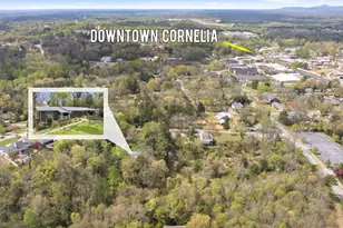 490 Maple St, Cornelia, GA 30531 - Photo 77