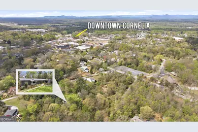 490 Maple Street, Cornelia, GA 30531 - Photo 79